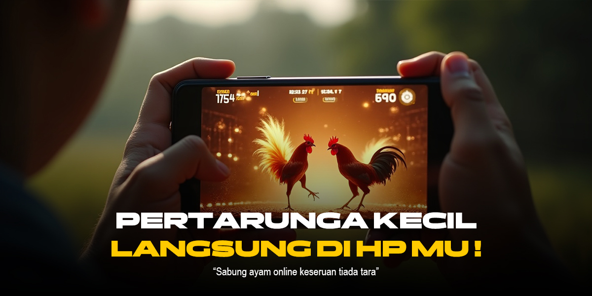 S128: Jenis Ayam Sabung dan Odds Unggulannya
