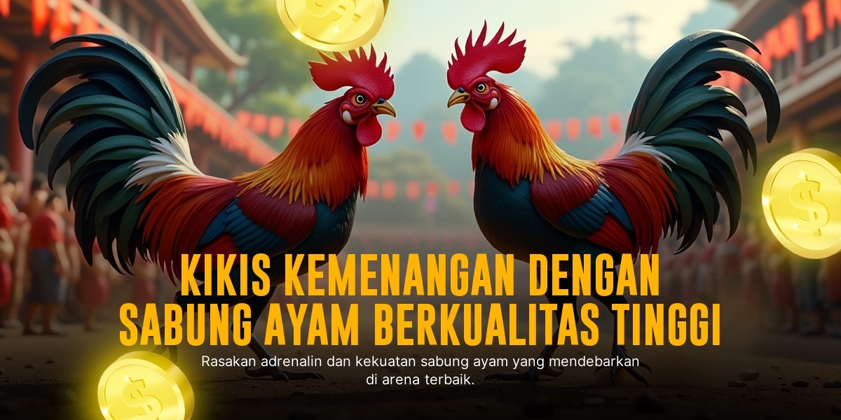 Mengenal Jenis Ayam Bangkok dalam Sabung Ayam Online
